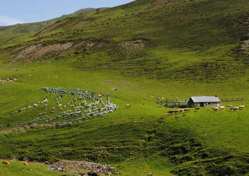 Arizes - Haute Vallée de l'Adour
