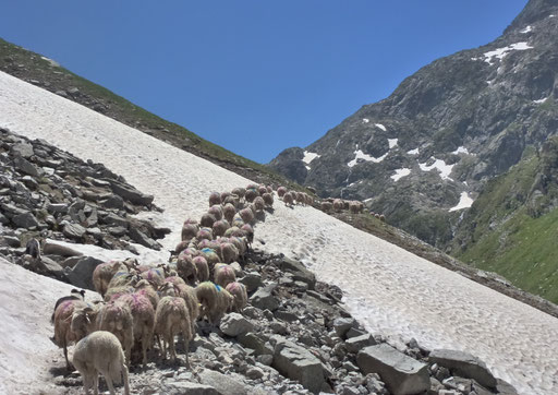 La Peyre Saint-Martin - Val d'Azun