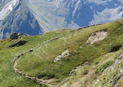 Oscures - Val d'Azun