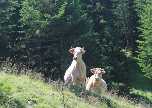 Jézeau - Vallée d'Aure
