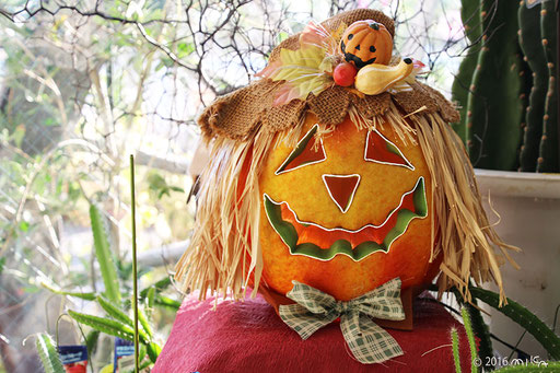 ハロウィーンのお花屋さん