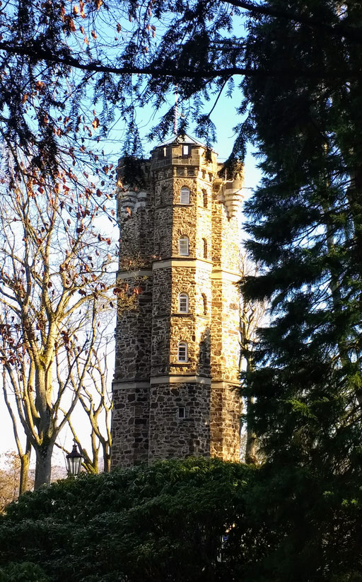 Der Humboldt-Turm