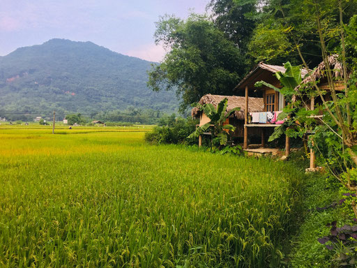 the view of the little Mai Chau homestay in Mai Chau