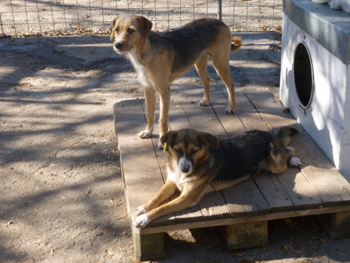 Betina und Tonya