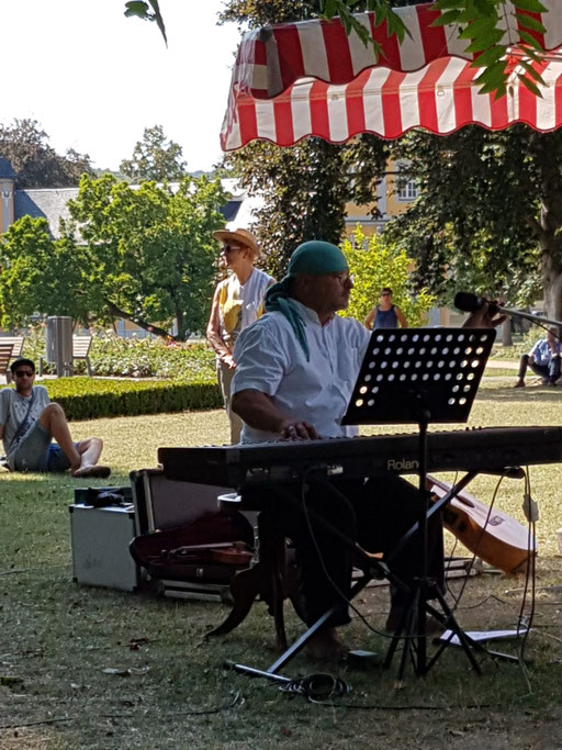 Cat und Freunde Küchengarten 2018