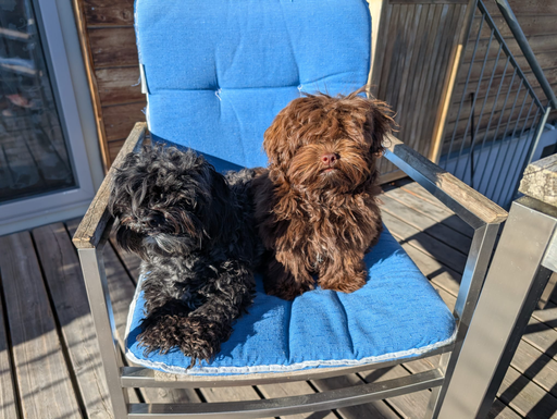 ... die Terrasse ist eröffnet ... 6,2J