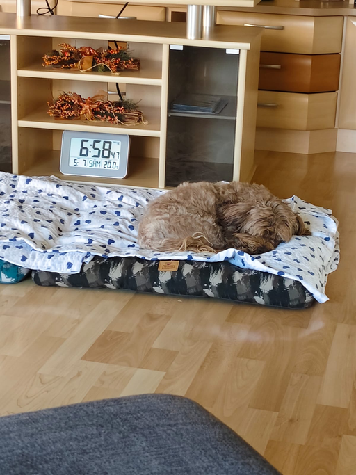 ... und gleich wieder Gute Nacht ...12,10J