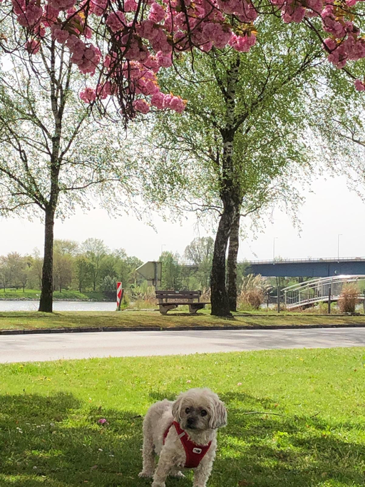 ... der Frühling ist soooo schön ... 15,3J