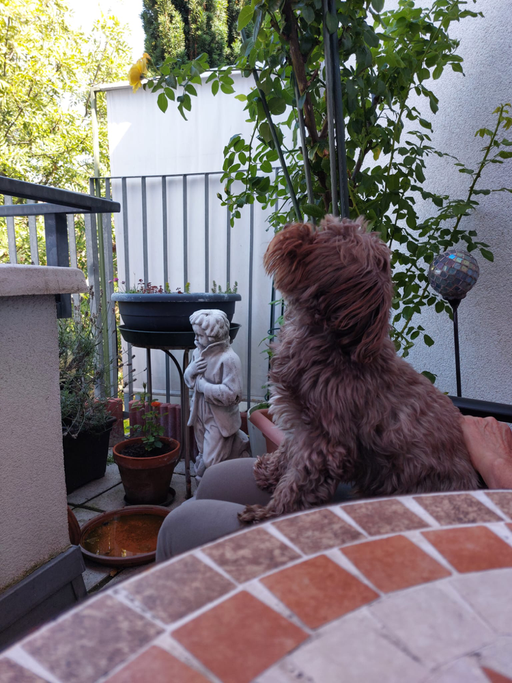 ... bin auch eine Statue ... 6J