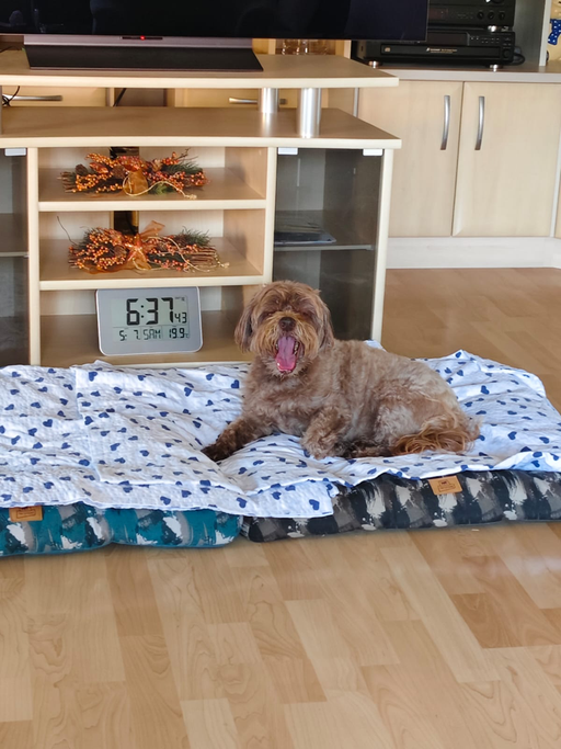 ... Guten Morgen, ist noch sooo früh ... 12,10J