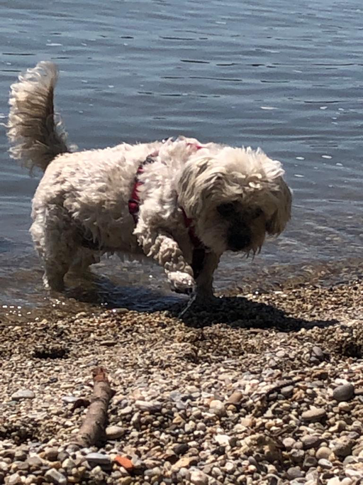 ... "Strand-Spaziergang" ... 13,7J