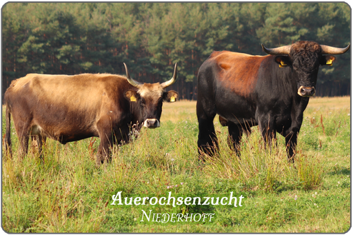 Über Biohof Niederhoff 