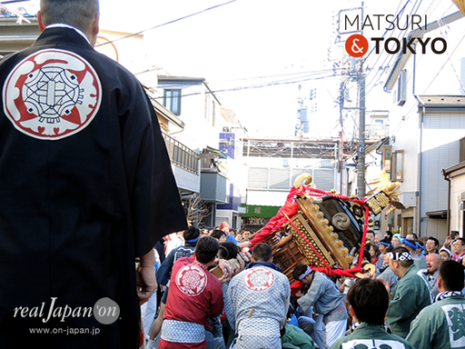 「若駒會」成人式神輿渡御, 2017年1月15日