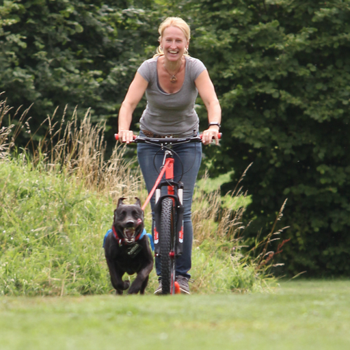 Freude für Hund und Mensch