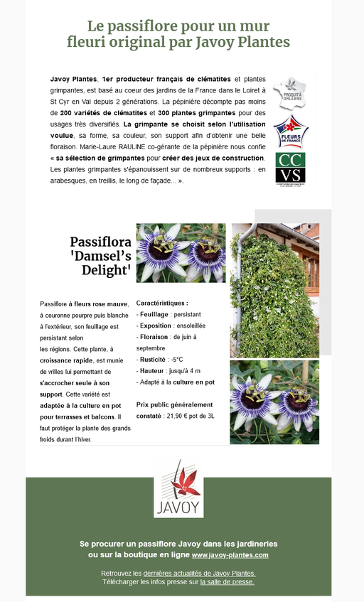 Dossier de presse Spécial "Plantes fleuries" - Passiflore Javoy Plantes Pépinière