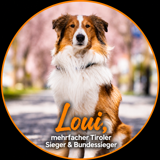 Ebenfalls ausgebildet als Bettwanzen- und Schimmelspürhund