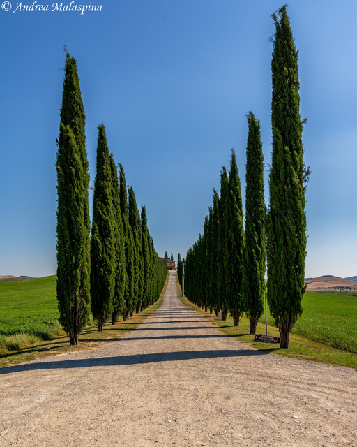 Tuscany Road