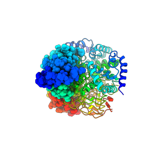 構造生物学 構造生物学 | A.Liljas, 田中 勲, 三木 邦夫 |本 | 通販 | Amazon