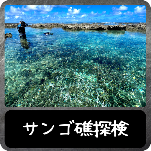 サンゴ礁探検