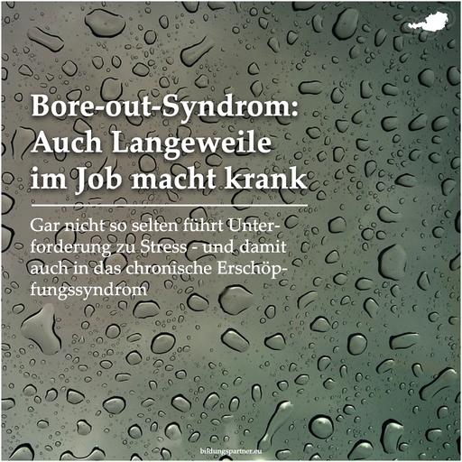 Bore-Out-Syndrom- Bildungspartner Österreich