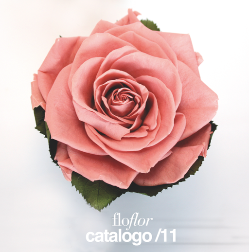 catalogo floflor