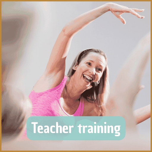 Opleiding Barre Workout Instructor Nederland en Paaldans Instructor en Aerial Yoga Instructor 