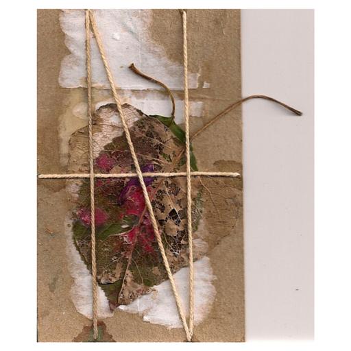 Trapped butterfly series. Nº 2 | Collage on cardboard