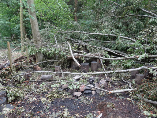 (Bilder: buebikernews)