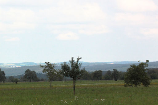 Blick nordwestlich von Langenalb in Richtung südlicher Kraichgau (G. Franke, 19.09.2021)