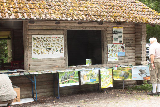 Infostand mit vielfältigen Broschüren und Postern