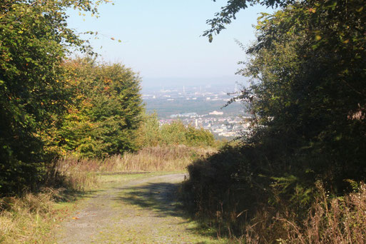 Blick in Richtung Karlsruhe