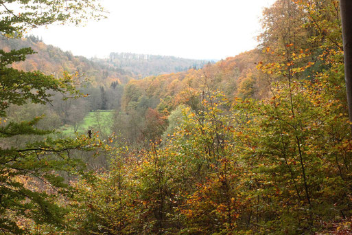 Blick ins Albtal in die Gegend um Fischweier (G. Franke, 06.11.2022)