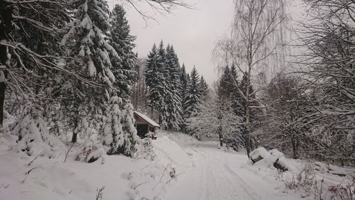 Winterlandschaft bei Dobel am 1. Advent  (G. Franke, 03.12.2017)