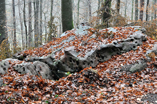 Hohler Stein (Lochstein) - ein Buntsandsteinblock zwischen Spielberg und dem Albtal (G. Franke, 26.11.2025)