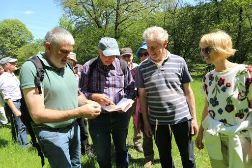 Exkursion im Moosalbtal  (Foto: Rebecca Diringer)