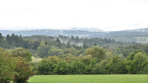 bei Karlsbad-Spielberg (G. Franke, 23.09.2025)