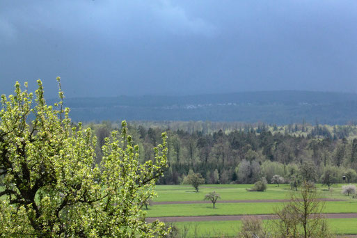 wechselhaftes Wetter - Blick von Spielberg in den Nordschwarzwald (G. Franke, 05.05.2021)