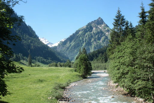 Urlaubseindrücke aus dem Oberallgäu - Hintersteiner Tal (G. Franke, 2019)