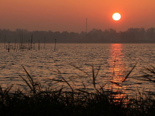 Sonnenaufgang über der Müritz bei Zielow     Foto: Bodo Rudolph