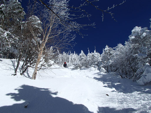 蓼科山　雪山　登山　ガイド