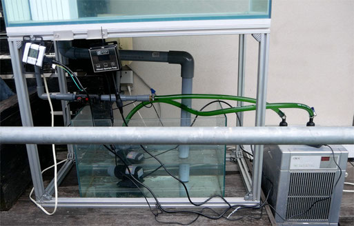 結果発表】MMC企画 ZOOXアルティメットアクアリウムポンプ