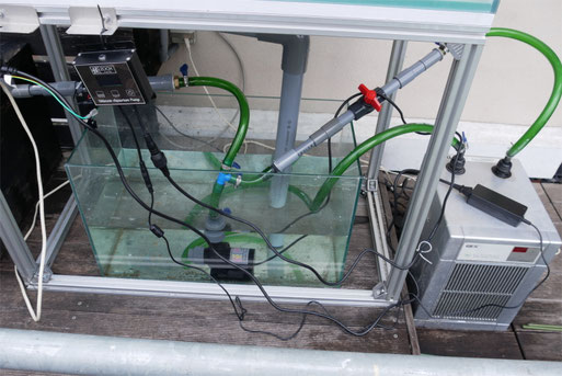 結果発表】MMC企画 ZOOXアルティメットアクアリウムポンプ DC3000 能力