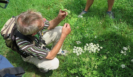 Volker Violet an der "Rendevouz-Blume"