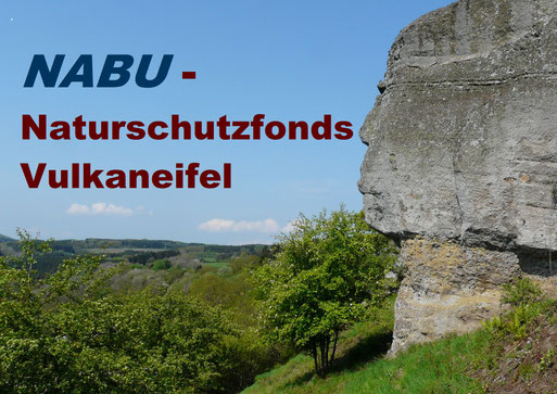 Schlackenfelsen am Wöllersberg bei Lissingen. Foto: G. Ostermann