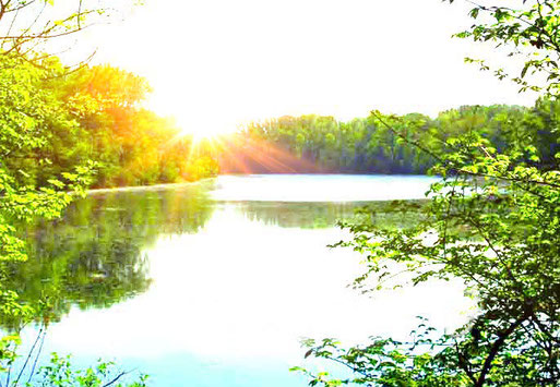 Psychotherapie in der Lobau, 1220 Wien-Donaustadt & 2301 Groß-Enzersdorf