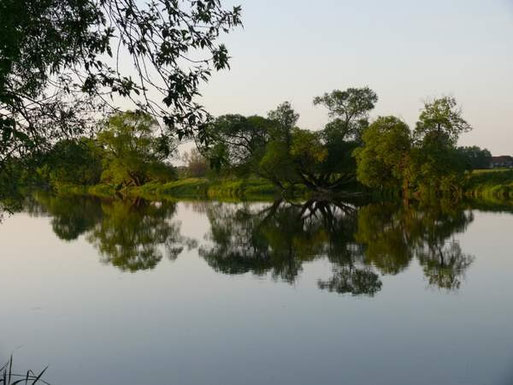 Die Havelniederung mit ihrer wunderschönen Landschaft