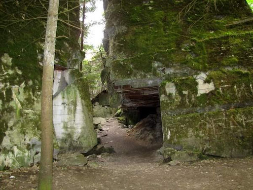 Bedrückendes Zeugnis der Geschichte – Festung Wolfsschanze
