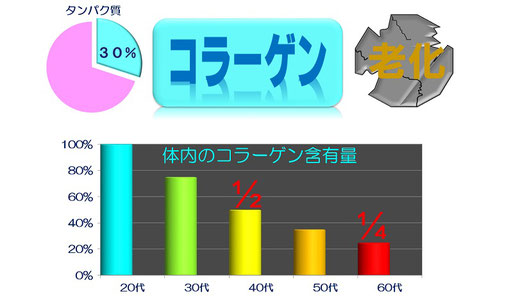 コラーゲン 体内含有量 年代別