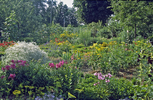 Bunte Mischung aus Gemüse und Blumen. Foto: R. Gille