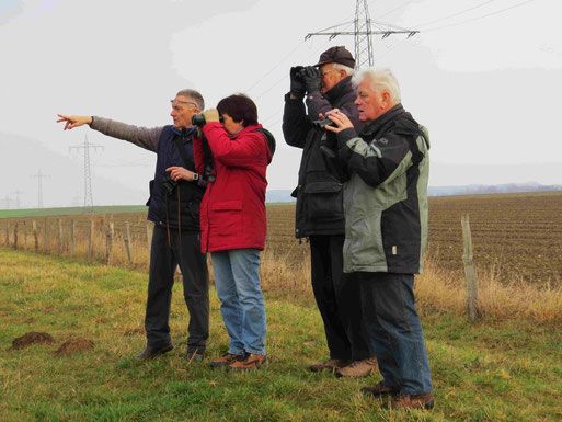 Bei Siersdorf (Foto: Wolfgang Voigt)